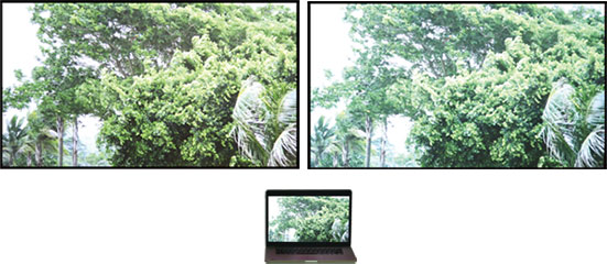 新利luck18(中国区)-官方网站