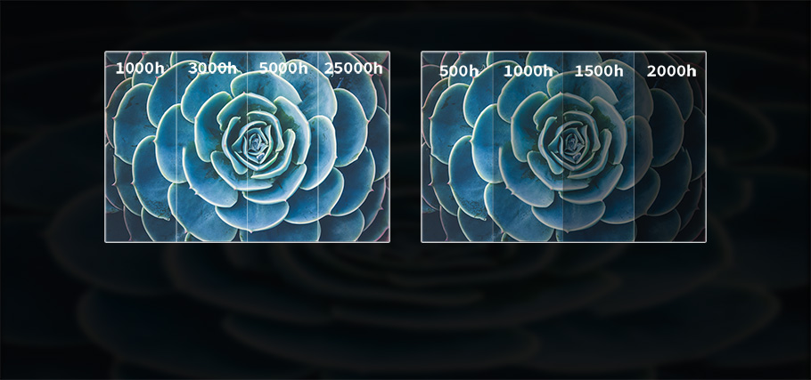 新利luck18(中国区)-官方网站