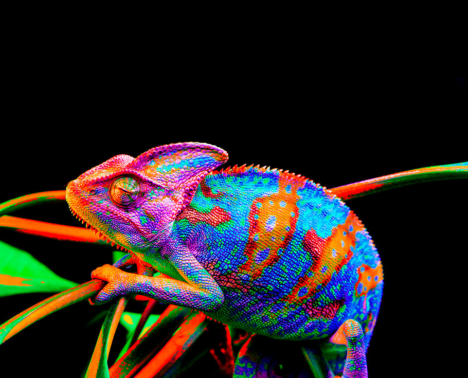 新利luck18(中国区)-官方网站