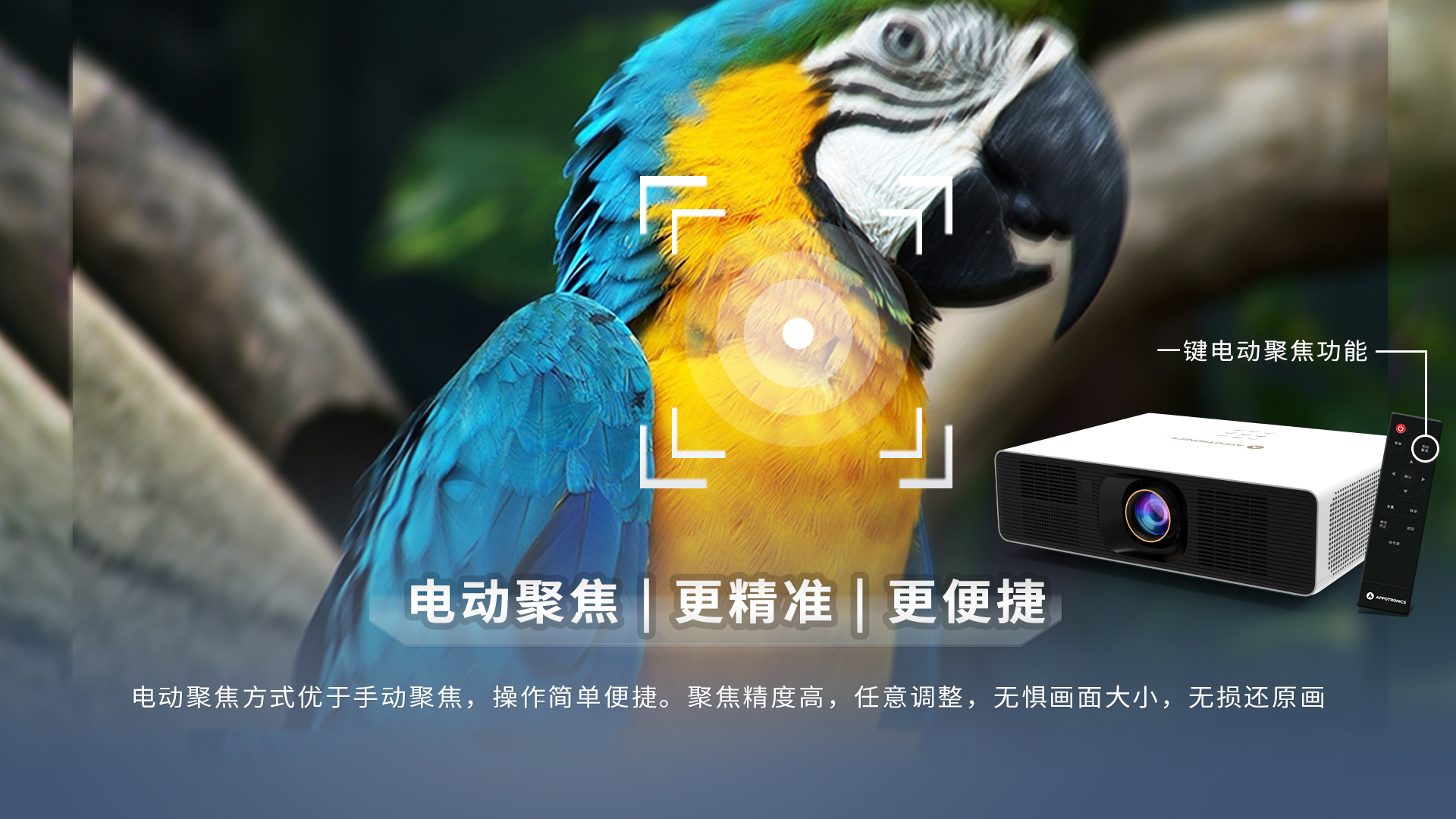 新利luck18(中国区)-官方网站