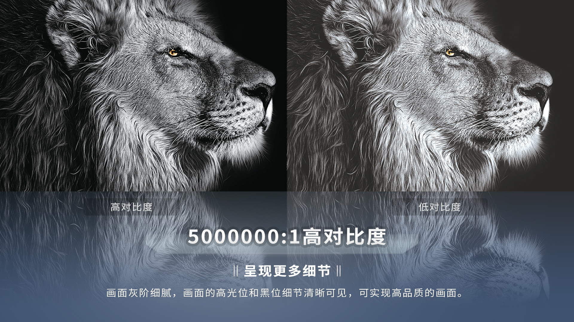 新利luck18(中国区)-官方网站