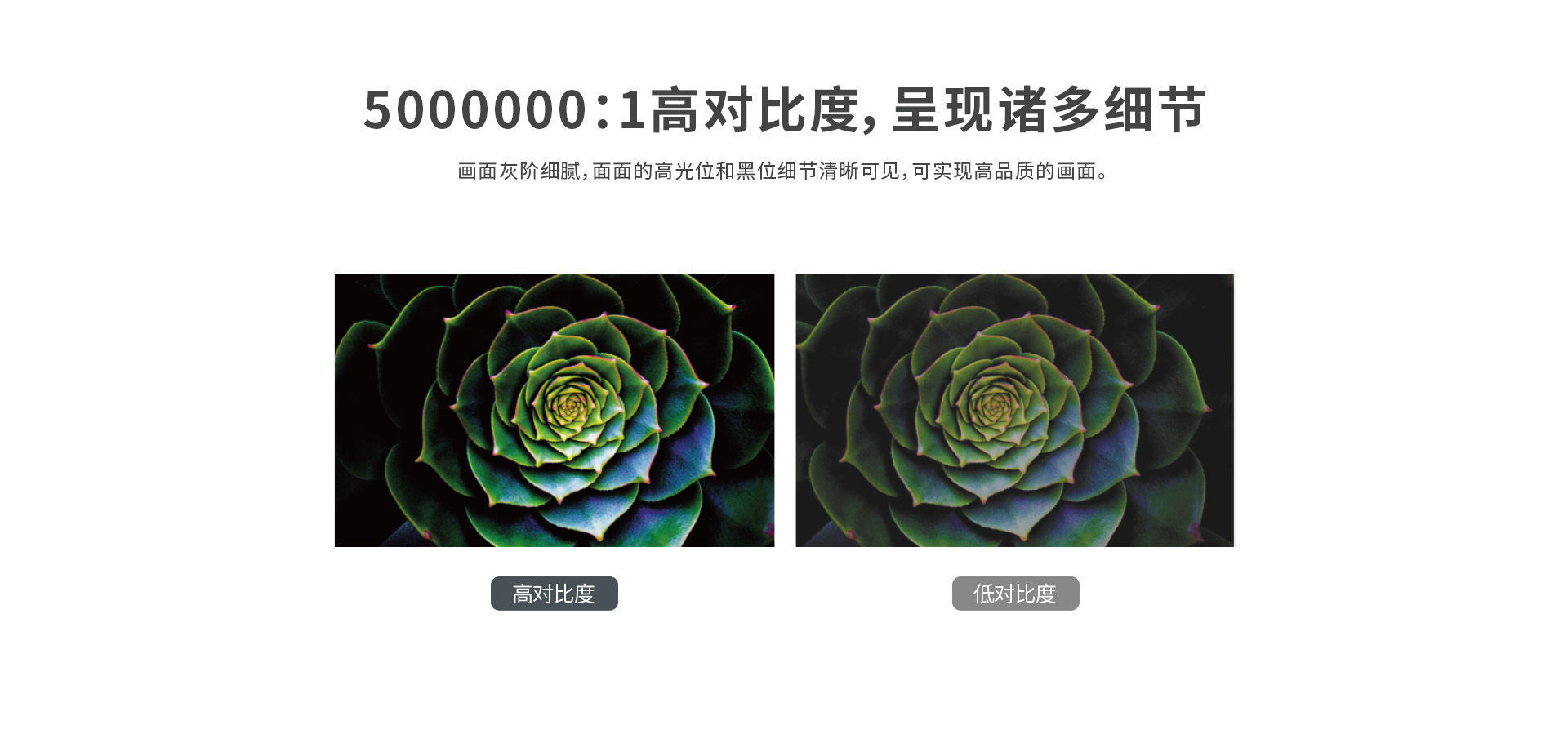 新利luck18(中国区)-官方网站