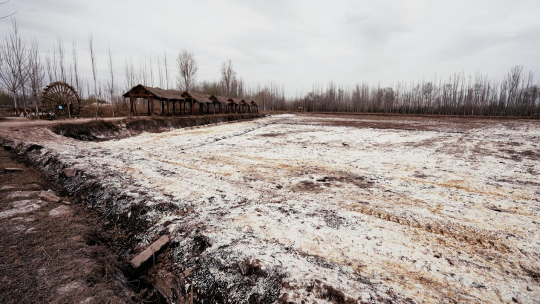 新利luck18(中国区)-官方网站