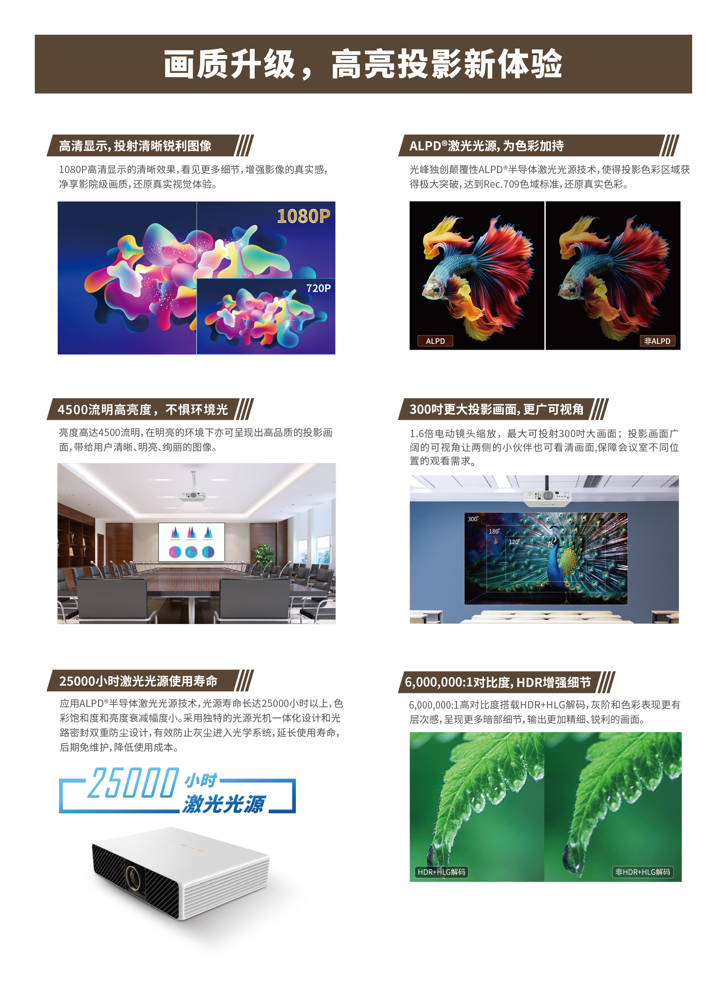 新利luck18(中国区)-官方网站